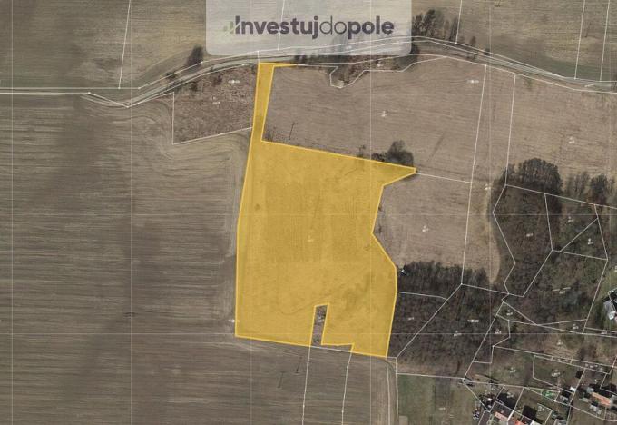 Prodej louky, Trstěnice, 19608 m2