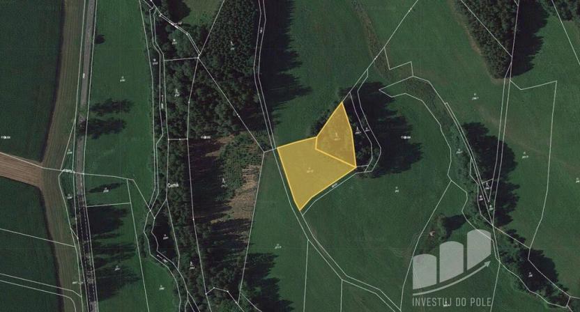 Prodej louky, Stará Paka - Krsmol, 4007 m2