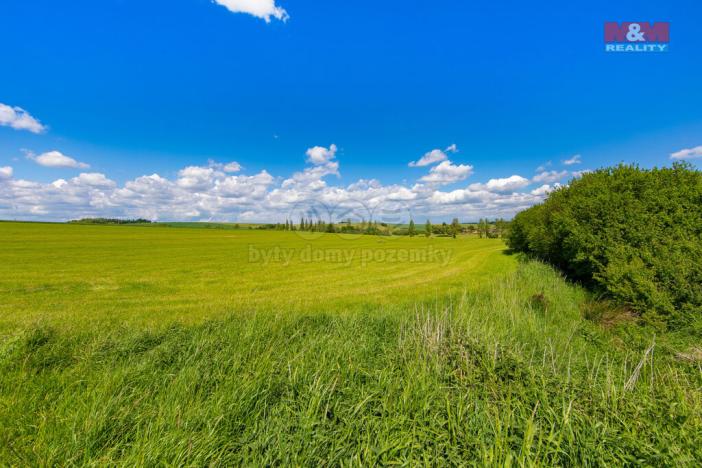 Prodej louky, Blížejov, 2373 m2