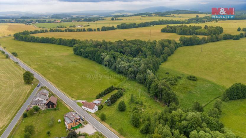 Prodej louky, Dětřichov, 4178 m2