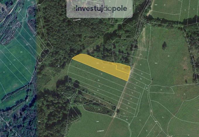 Prodej louky, Neurazy - Nová Ves u Nepomuka, 6998 m2