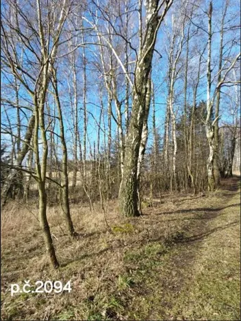 Prodej lesa, Vyskytná, 2191 m2
