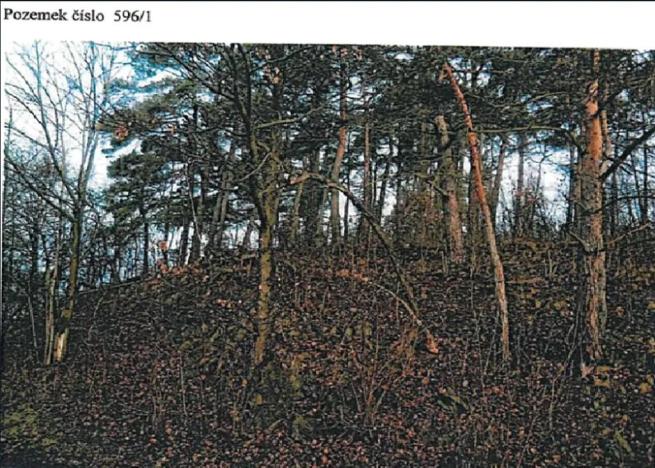 Prodej podílu lesa, Jihlava, 4922 m2