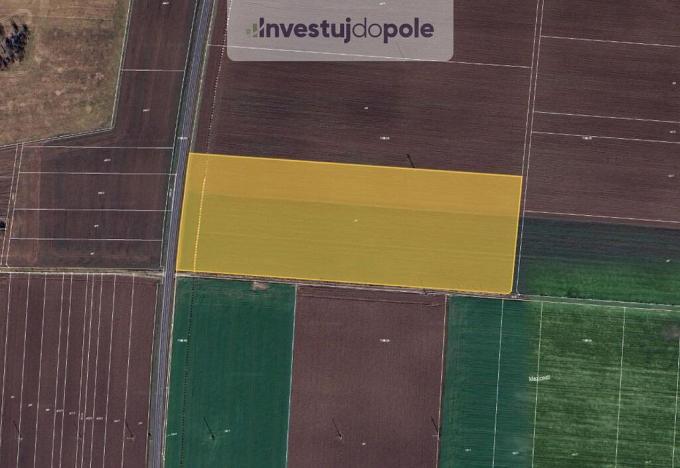 Prodej pole, Břest, 19145 m2