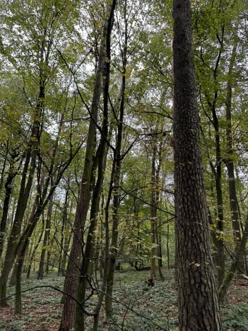 Prodej podílu pozemku, Plaňany, 23569 m2
