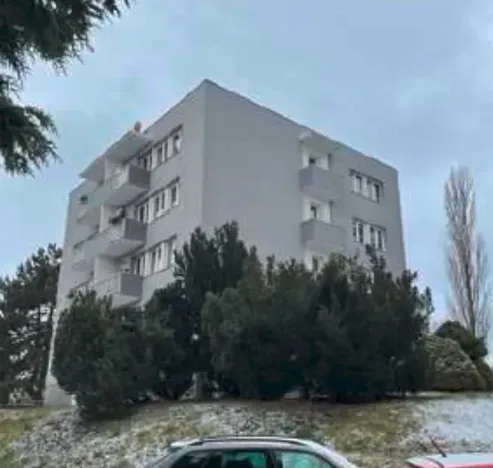 Dražba bytu 4+1, Kosmonosy, Pod koupalištěm, 84 m2