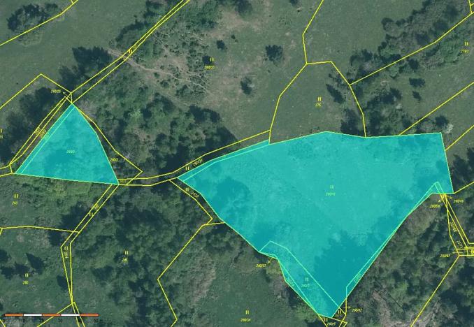 Prodej louky, Střížovice, 9080 m2