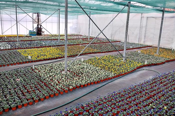 Prodej rodinného domu, Miřetice, 159 m2