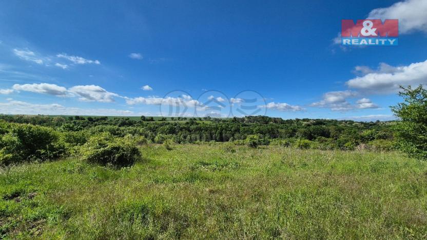 Prodej pozemku pro bydlení, Hrušovany, 30076 m2