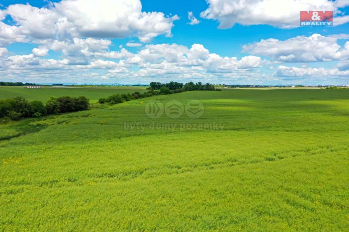 Prodej pole, Dobrovíz, 5578 m2