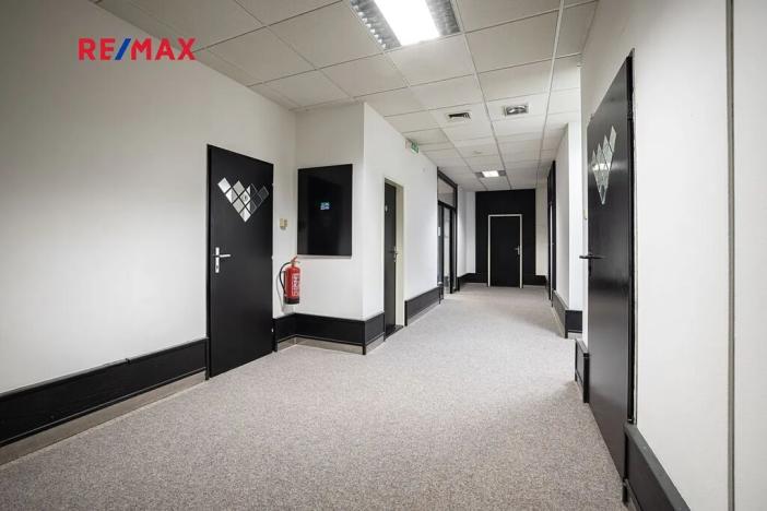 Pronájem kanceláře, Plzeň, Tylova, 32 m2