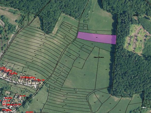 Prodej pole, Kanice, 5202 m2