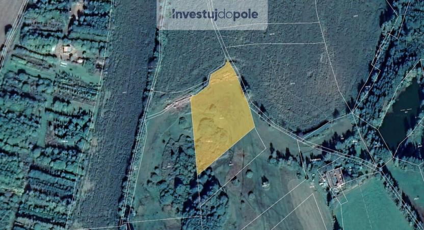 Prodej louky, Nový Rychnov - Sázava, 7780 m2