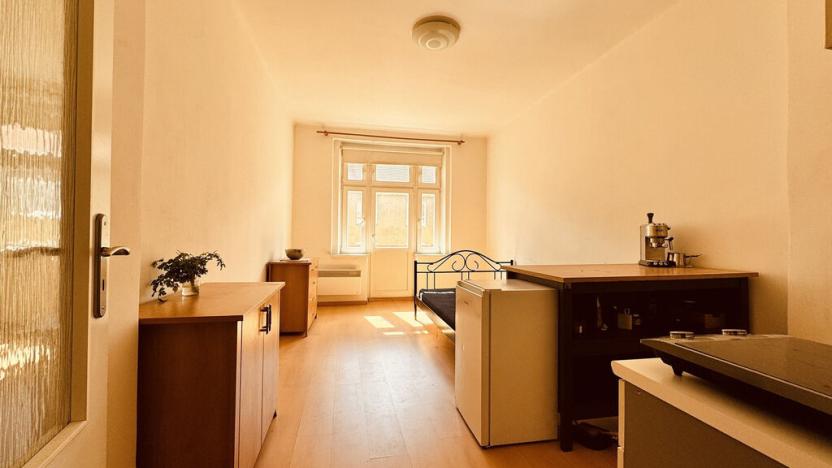 Pronájem bytu 1+kk, Praha - Žižkov, Buchovcova, 24 m2