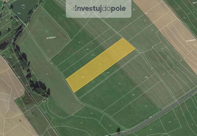 Prodej pole, Běhařov, 11102 m2