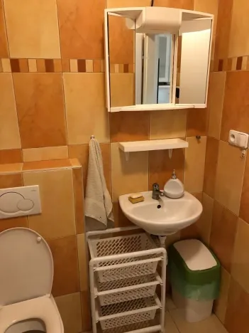 Pronájem bytu 1+kk, Černolice, Hlavní, 30 m2