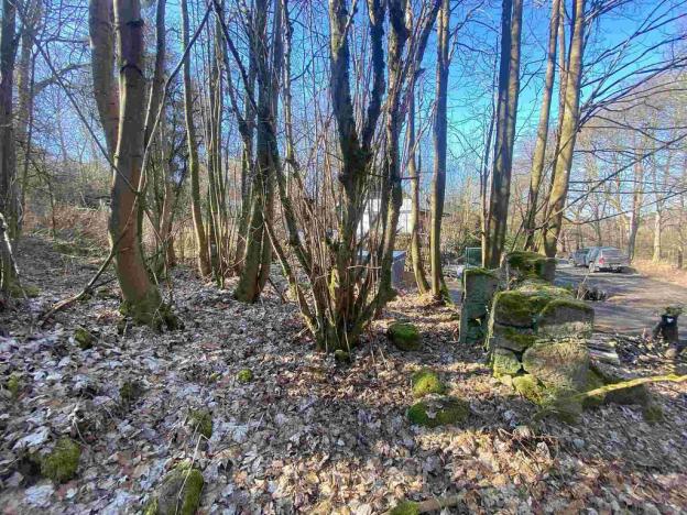 Prodej pozemku, Rozvadov - Svatá Kateřina, 584 m2