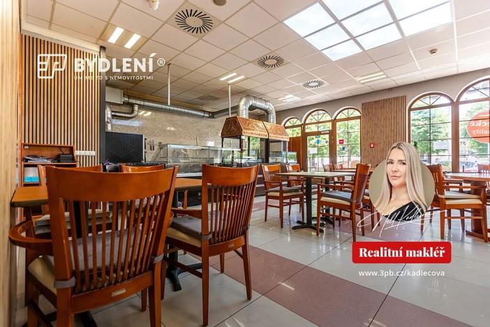 Pronájem restaurace, Teplice, U Nových lázní, 541 m2