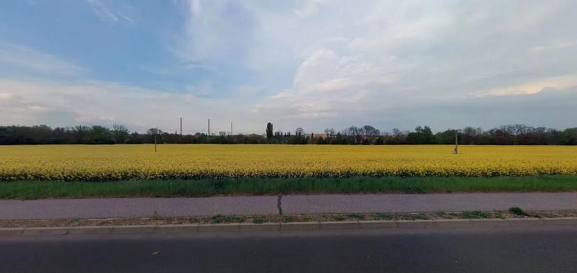 Prodej pole, Štětí, 4190 m2