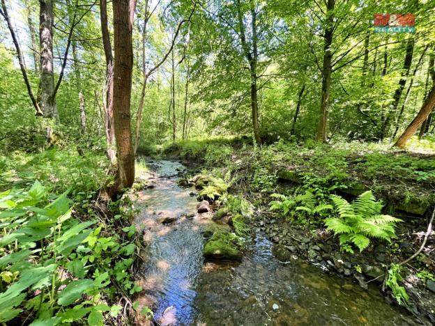 Prodej rybníku, Skalice u České Lípy, 3255 m2
