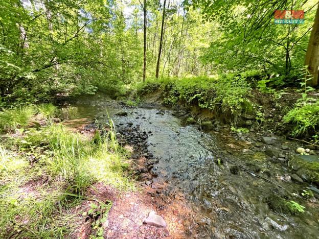 Prodej rybníku, Skalice u České Lípy, 3255 m2