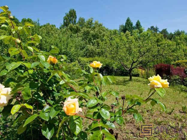 Prodej rodinného domu, Ostrava, Pod Nemocnicí, 150 m2