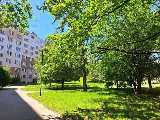 Prodej bytu 3+1, Ostrava, Aloise Gavlase, 72 m2