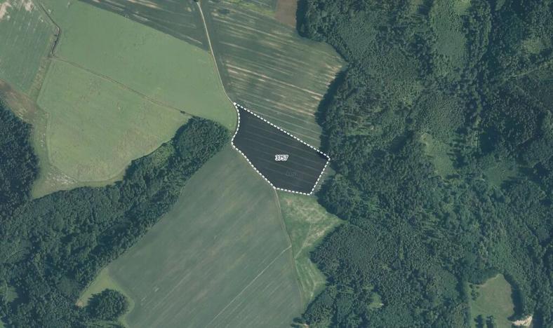 Prodej pole, Jindřichov, 35246 m2