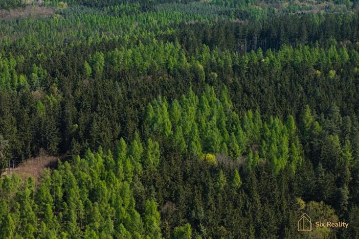 Prodej rodinného domu, Pavlíkov, 436 m2