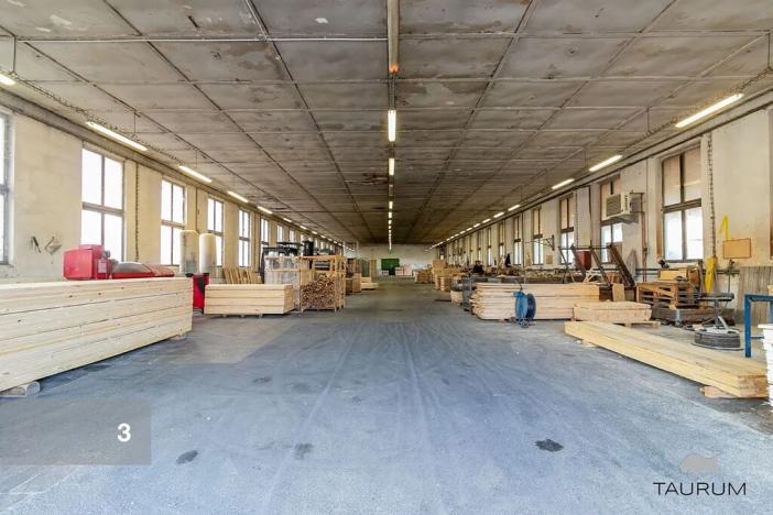 Prodej výrobních prostor, Zákupy, Nádražní, 21066 m2