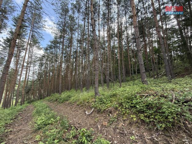 Prodej lesa, Chotilsko - Prostřední Lhota, 3372 m2