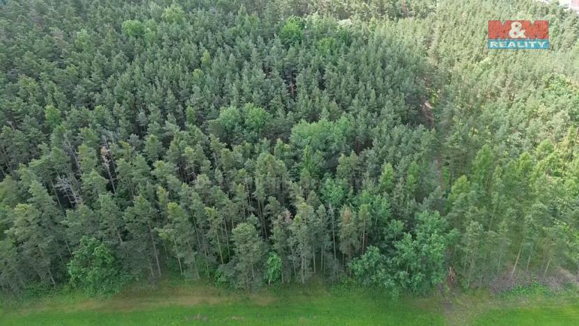 Prodej lesa, Chotilsko - Prostřední Lhota, 3372 m2