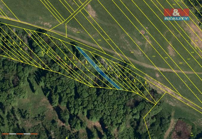 Prodej lesa, Loukov, 1288 m2