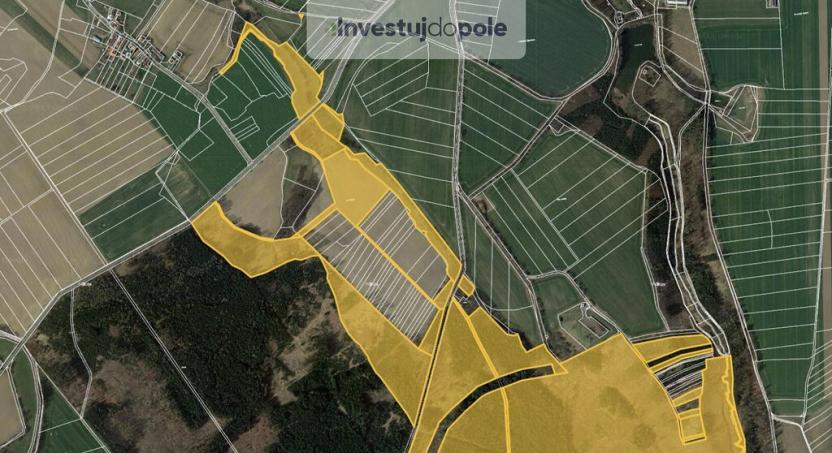 Prodej lesa, Golčův Jeníkov, 17535 m2