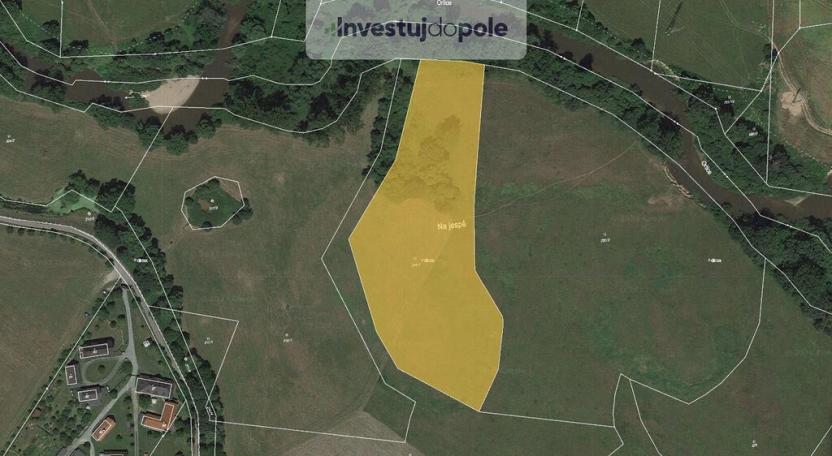 Prodej louky, Třebechovice pod Orebem - Krňovice, 7720 m2