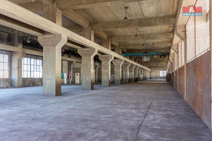 Pronájem výrobních prostor, Ostrava, 12000 m2