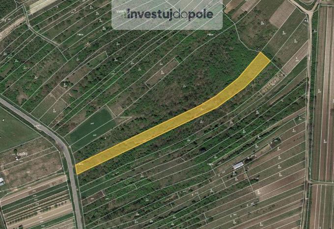 Prodej louky, Němčičky, 3570 m2