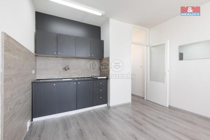 Prodej bytu 1+kk, Ostrava - Moravská Ostrava, U Parku, 25 m2