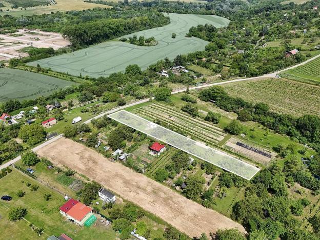 Prodej zahrady, Mikulov, 927 m2