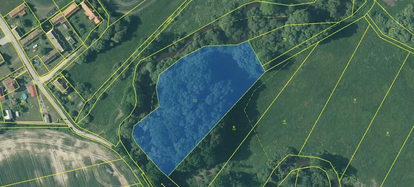 Prodej rybníku, Třeboň, 9420 m2