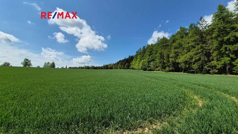 Prodej pozemku pro bydlení, Borová, 5776 m2