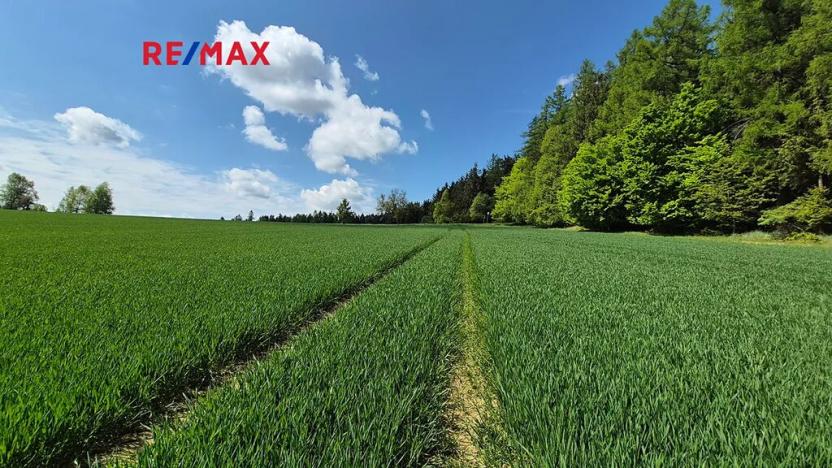 Prodej pozemku pro bydlení, Borová, 5776 m2