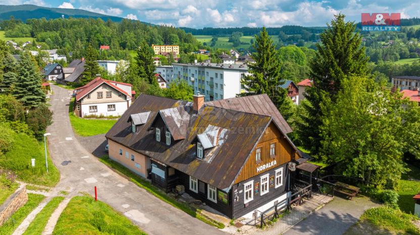 Prodej ubytování, Rokytnice nad Jizerou - Horní Rokytnice, 374 m2