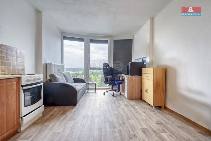 Pronájem bytu 1+kk, Plzeň, Klatovská, 25 m2