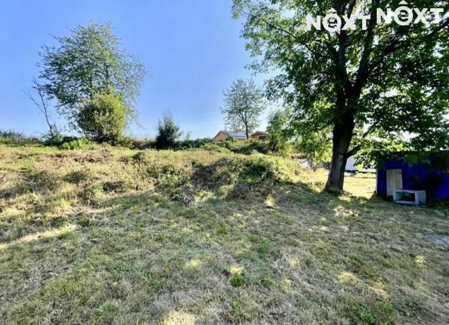 Prodej rodinného domu, Svobodné Heřmanice, Sokolovská, 170 m2