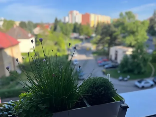 Prodej bytu 1+1, Praha - Kamýk, Písnická, 40 m2