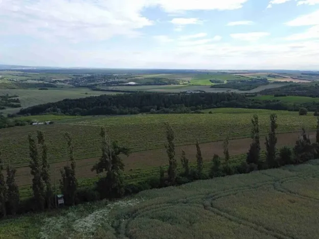 Dražba louky, Újezdec, 4351 m2