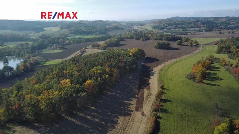 Prodej pozemku pro bydlení, Pečice, 1510 m2