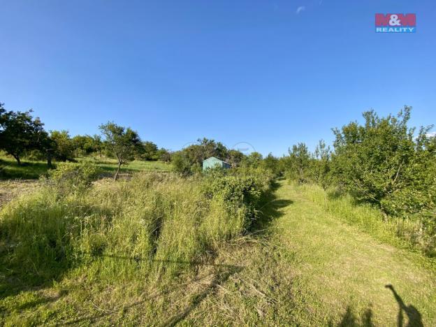 Prodej zahrady, Syrovín, 1031 m2