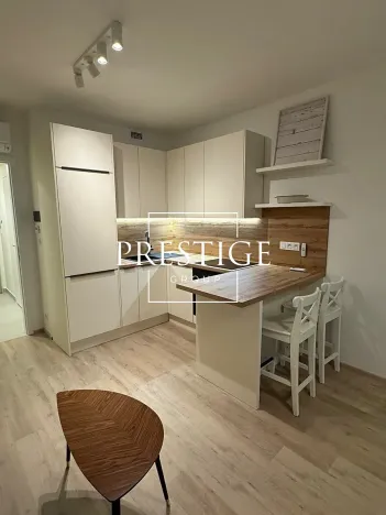 Pronájem bytu 1+kk, Praha - Žižkov, Tetauerova, 32 m2